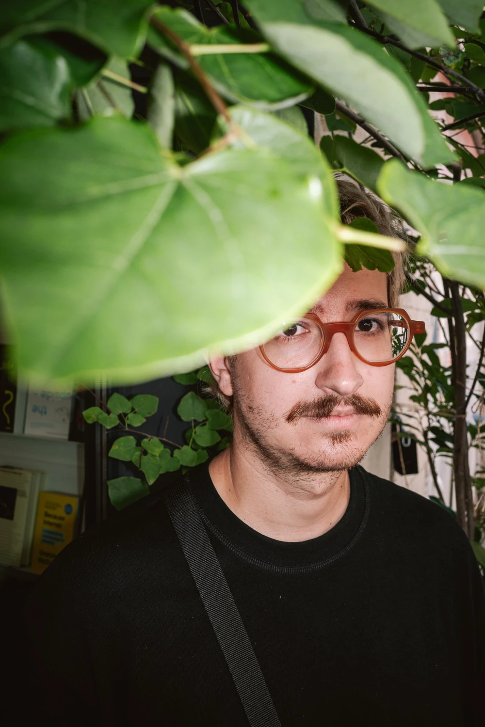 tomas_gaston